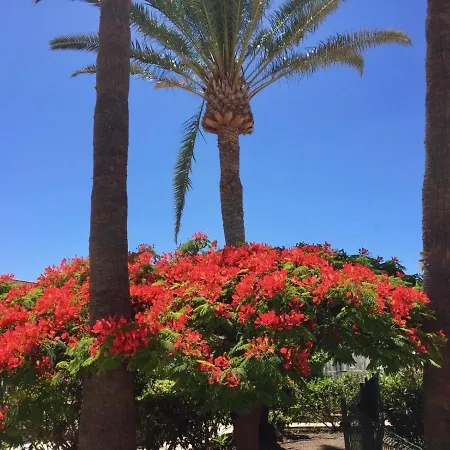 Granada * Playa del Ingles (Gran Canaria)