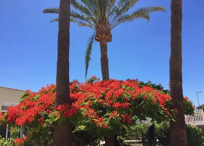 Granada * פלאייה דל אינגלז